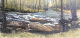 "Amicalola Rapids" by Jeff Williams