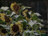 "Sunflowers" by Warren Griffin