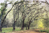 "Wormsloe" by Lisa Lebofsky