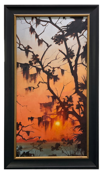 "Complementary Days" by Steven Walker