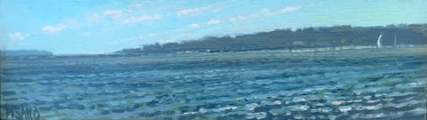 "Jekyll from St Simons" by Crista Pisano