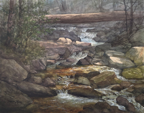 "Gentle Cascades" by Susan Lynn