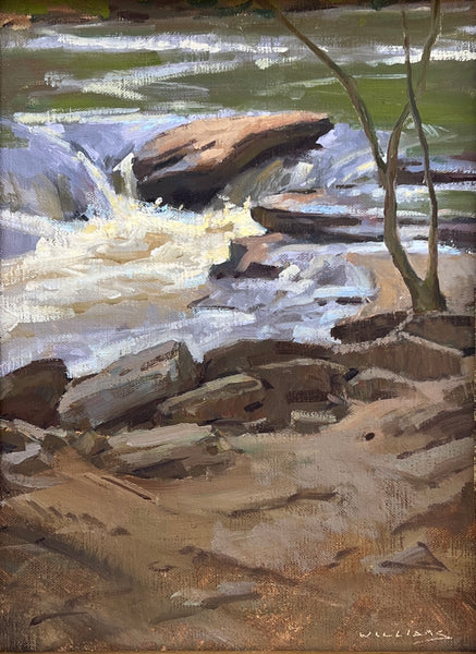 "Roswell River Rocks" by Mason Cole Williams