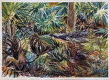 "Palmetto Jungle - Skidaway" by Josh Hatfield