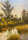 "Bog" by Michael Mills