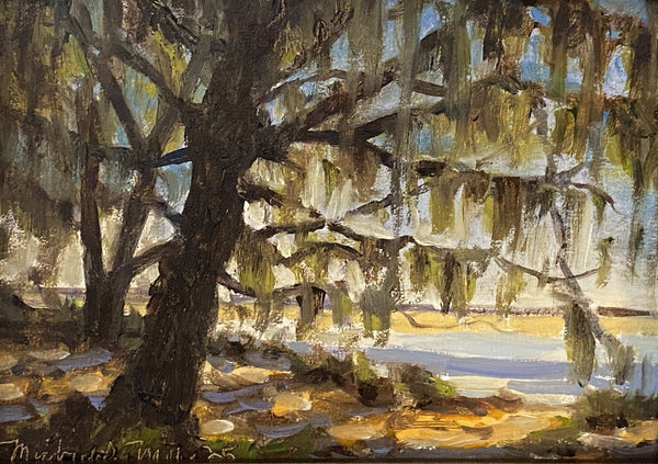 "Draped Oak" by Michael Mills