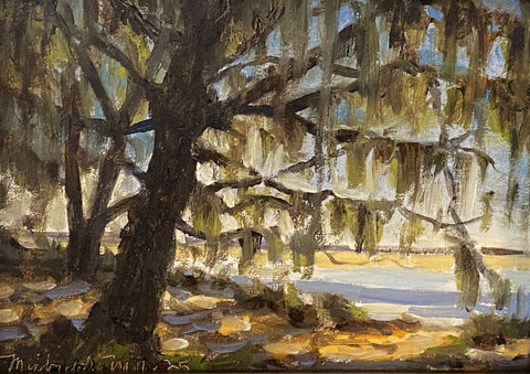 "Draped Oak" by Michael Mills