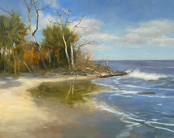 "Driftwood Shore" by Paul Batch