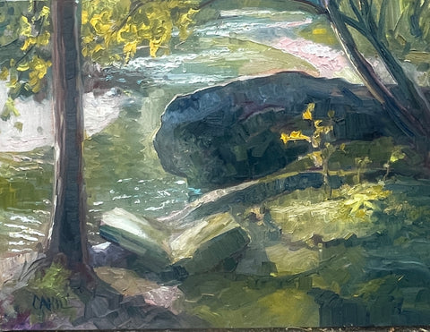 "Permitted Activities" by Ed Cahill