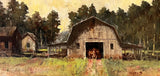 "Barn Find" by Craig Reynolds