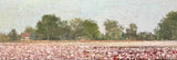 "Cotton and Trees" by Crista Pisano