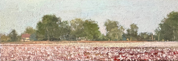 "Cotton and Trees" by Crista Pisano