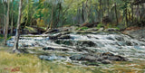 "Hidden Rapids" by John Caggiano