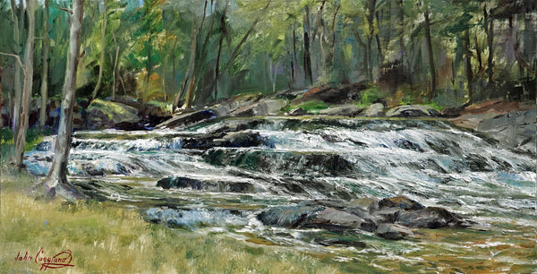 "Hidden Rapids" by John Caggiano