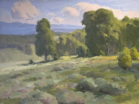 "Above Kamas" by Trijsten Leach