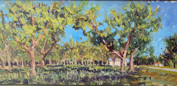 "Pecan Grove home" by Kip Bradley