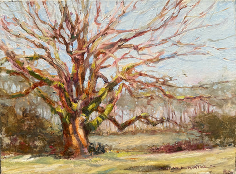 "Resurrection Oak" by Susan D. Waters