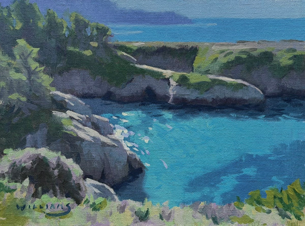 "China Cove, Point Lobos" by Mason Cole Williams