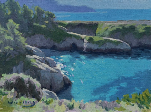 "China Cove, Point Lobos" by Mason Cole Williams