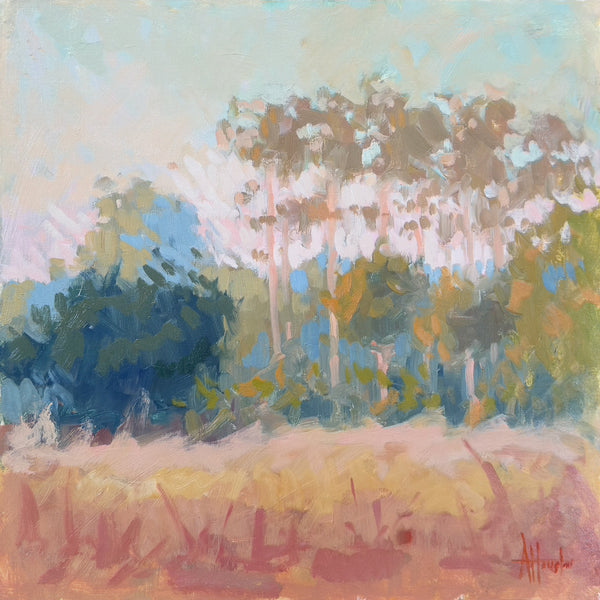 "Skidaway Sunrise" by Adam Houston