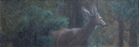 "Sentimental" by Seth Tummins