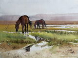 "Reflections of Cumberland Island" by Kathy Rennell Forbes