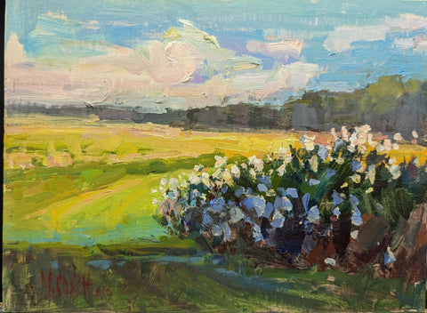 "Cotton Field Shadow" by Millie Gosch