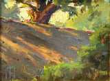 "Dappled Light" by Jason Bailey