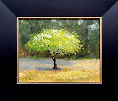"Kousa Dogwood" by Peggy Immel