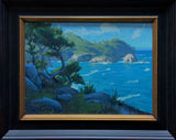 "Blue Fish Cove, Point Lobos" by Mason Cole Williams