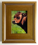 "Portrait of a Calf" by Laura Floyd