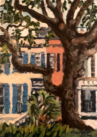 "Live Oak" by Dawn S Cohen