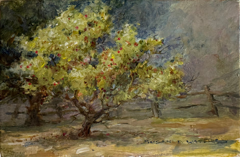 "Moonlit Crabapple" by Susan D Waters