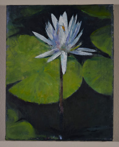"White Water Lily" by Martin Kotler