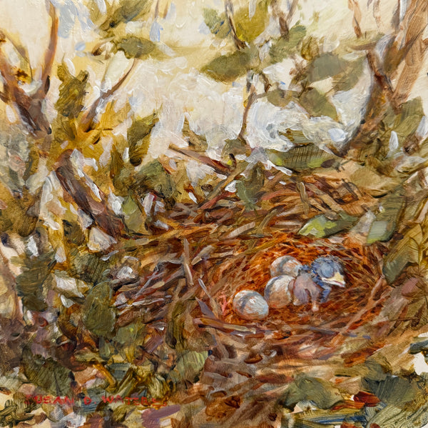 "Hatchling" by Susan D. Waters