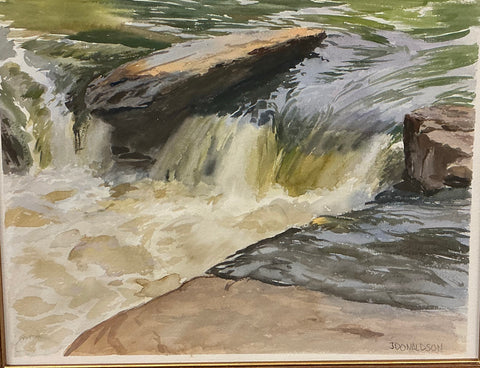 "Feeding the ducks at piedmont" by Justin Donaldson