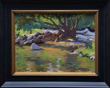 "Boulder Creek, Colorado" by Mason Cole Williams