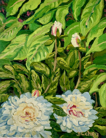 "Yard Peonies" by Dawn S Cohen