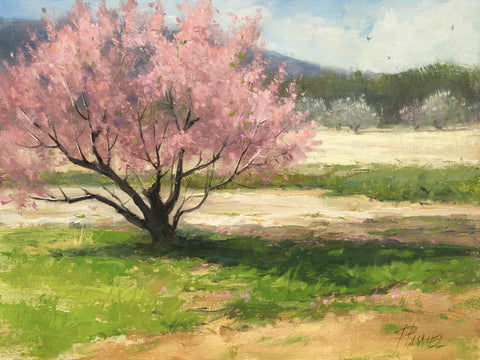 "Dressed in Pink" by Peggy Immel