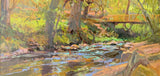"Hidden Haven at Lullwater & Ponce" by Lori Keith Robinson
