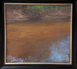 "Morningside Nature Preserve" by Seth Tummins