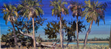 "Fencing The Blue Sky" by Kip Bradley