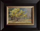 "Moonlit Crabapple" by Susan D Waters