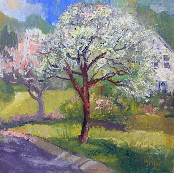 "Classic Dogwood" by Ed Cahill