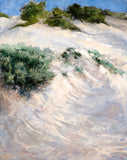 "Aruba Sand Dunes" by Don Yaun