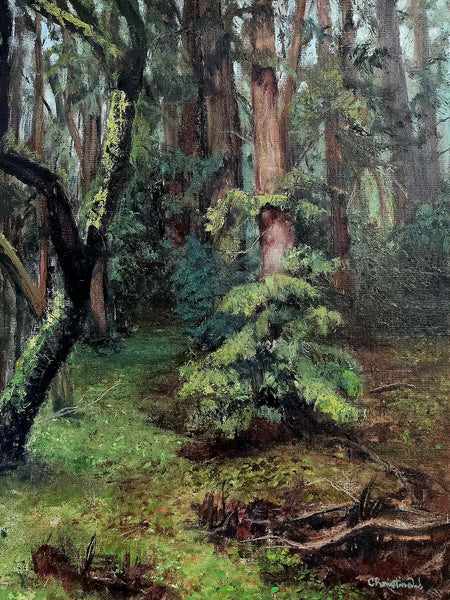 "Wondering Through the Redwoods" by Christina Wysocki