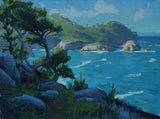 "Blue Fish Cove, Point Lobos" by Mason Cole Williams