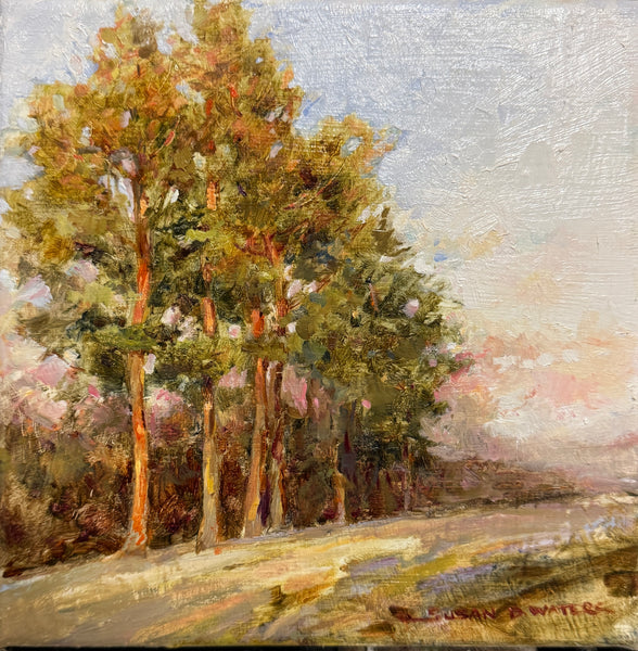 "Afternoon Pines" by Susan D Waters