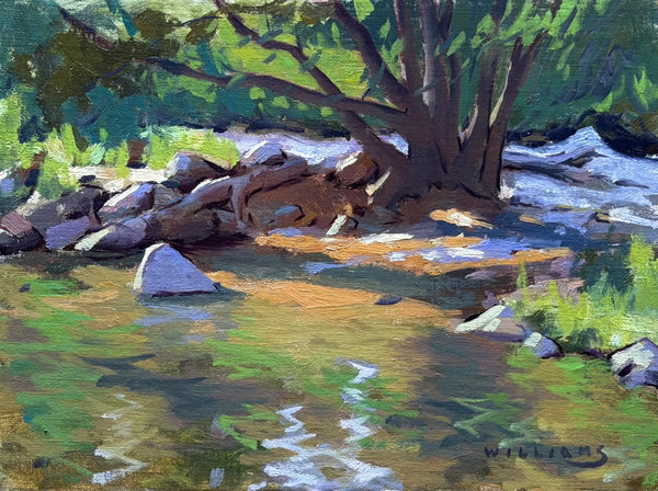 "Boulder Creek, Colorado" by Mason Cole Williams