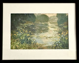 "Water Garden" by Susan Jean Diehl